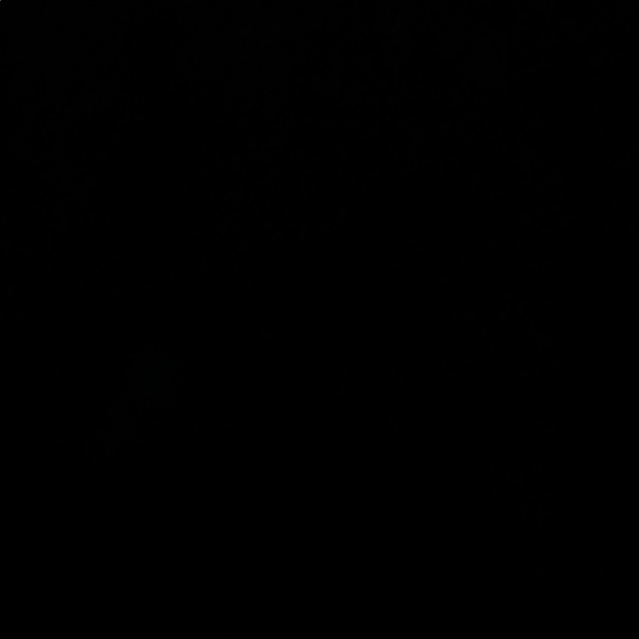 Nike Black Nyjah SB Men's Shoes - Picture 7 of 7